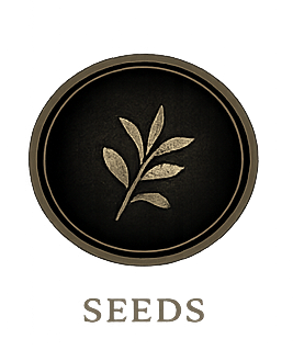 Seeds & Nuts